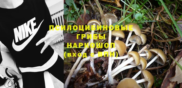 экстази Богданович
