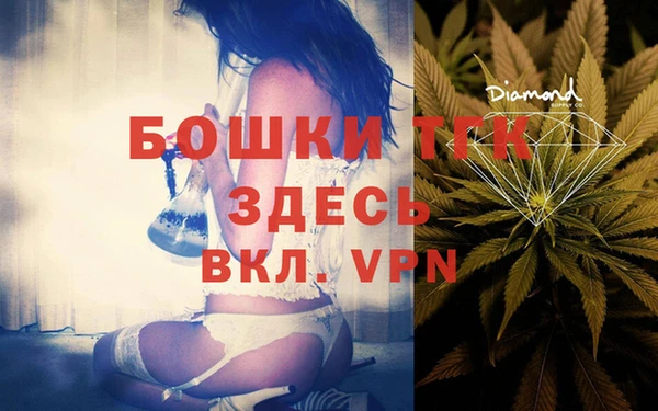 прущие грибы Балахна