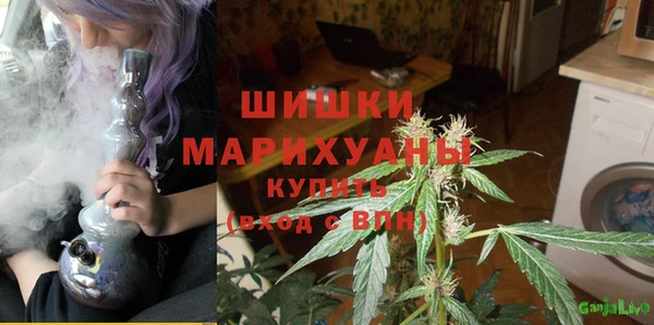 экстази Богданович